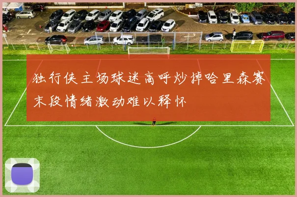 独行侠主场球迷高呼炒掉哈里森赛末段情绪激动难以释怀