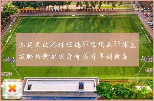 无逆足的格林伍德37场斩获25球左右脚均衡进攻身价或将再创新高