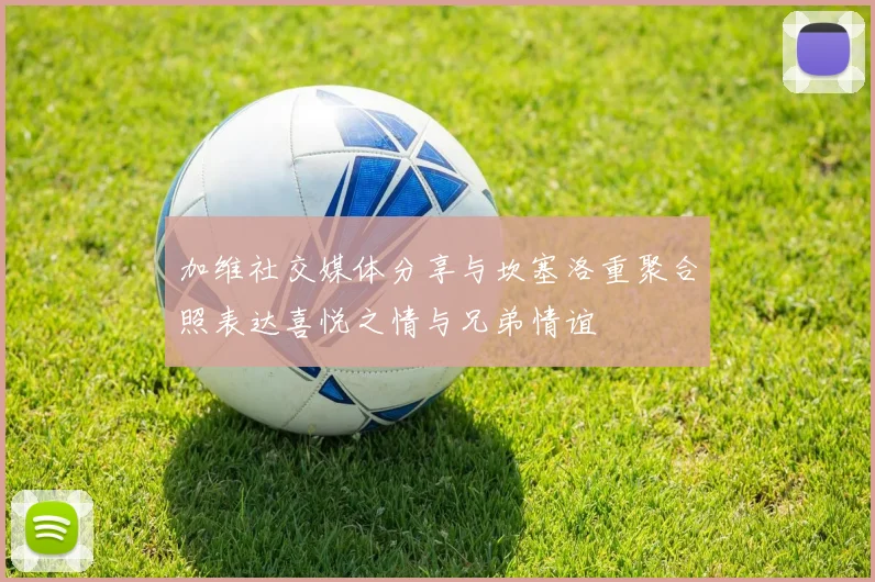 加维社交媒体分享与坎塞洛重聚合照表达喜悦之情与兄弟情谊