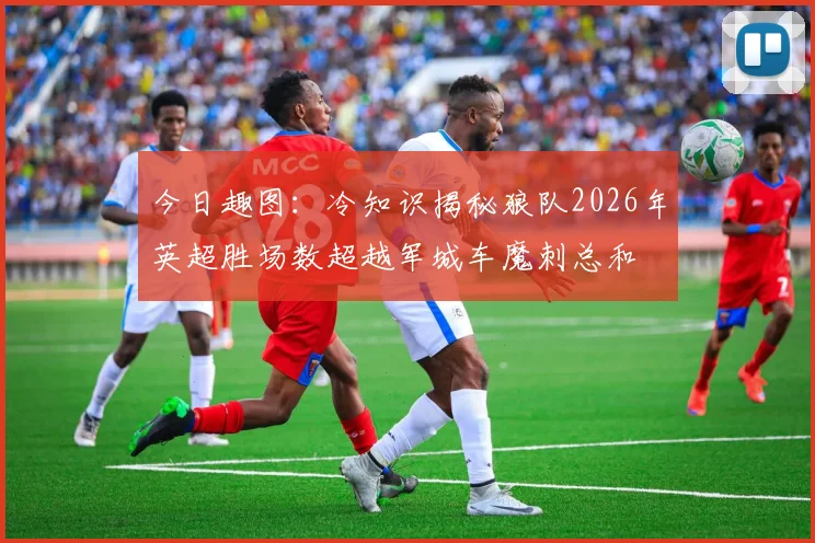 今日趣图：冷知识揭秘狼队2026年英超胜场数超越军城车魔刺总和