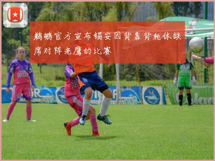 鹈鹕官方宣布锡安因背靠背轮休缺席对阵老鹰的比赛